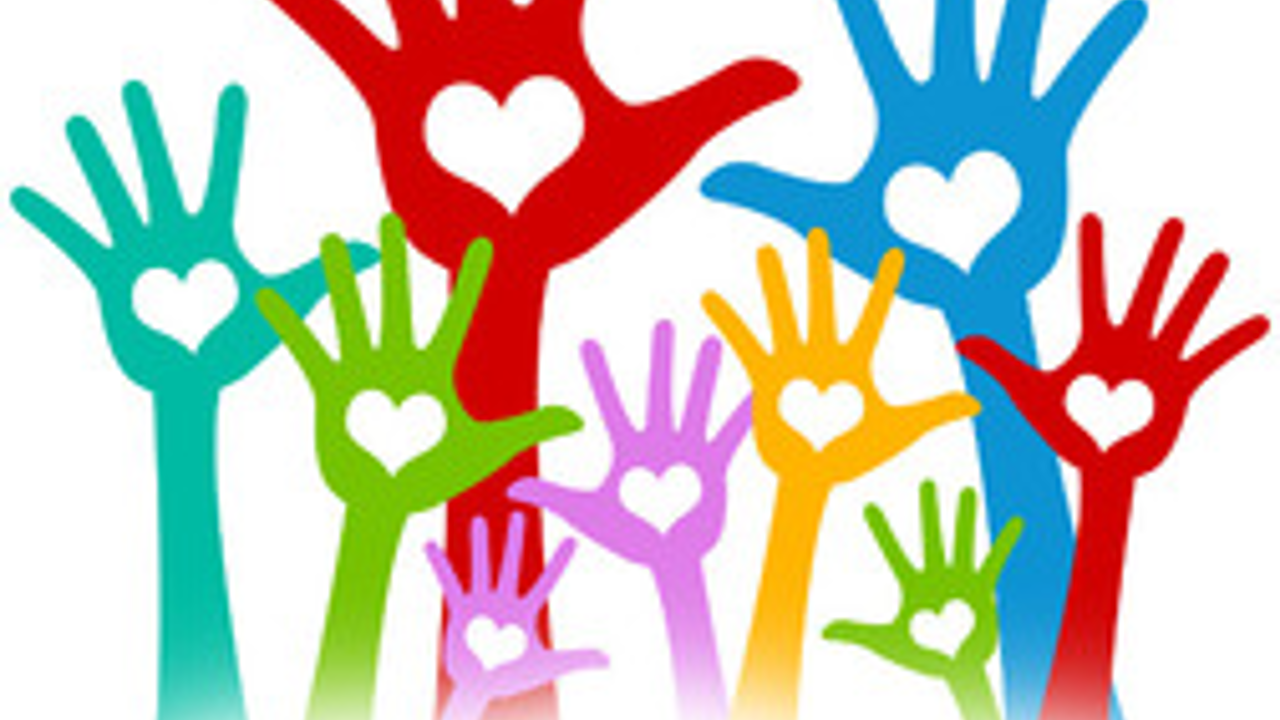 Volunteer Policy